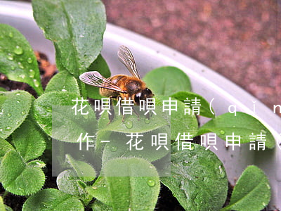 花唄借唄申請(qǐng)延期還款怎么操作-花唄借唄申請(qǐng)延期還款怎么操作的