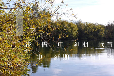 花唄借唄申請延期還款有什么后果-花唄借唄申請延期還款有什么后果嗎