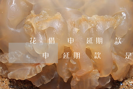 花唄借唄申請延期還款電話是多少-花唄借唄申請延期還款電話是多少號