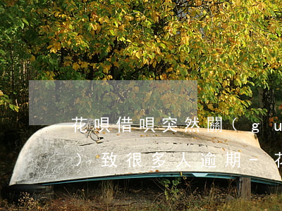 花唄借唄突然關(guān)了導(dǎo)致很多人逾期-花唄借唄突然關(guān)了導(dǎo)致很多人逾期怎么辦
