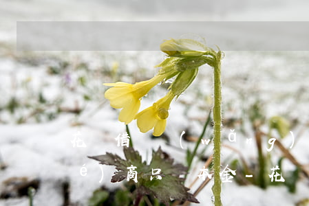 花唄借唄網(wǎng)商貸可以協(xié)商只還本金-花唄借唄網(wǎng)商貸可以協(xié)商只還本金嗎