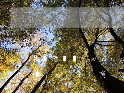 花唄借唄網(wǎng)商貸無力償還如何協(xié)商-花唄借唄網(wǎng)商貸還不上怎么辦