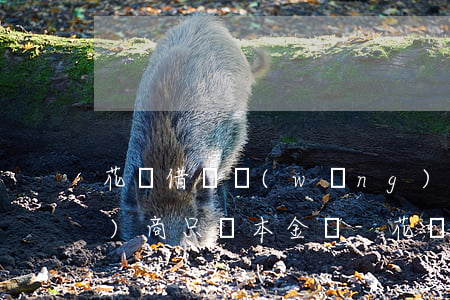 花唄借唄網(wǎng)商貸能協(xié)商只還本金嗎-花唄借唄網(wǎng)商貸能協(xié)商只還本金嗎