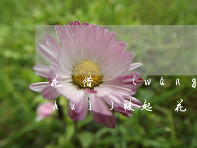 花唄借唄網(wǎng)商貸逾期多久會(huì)被起訴(花唄借唄網(wǎng)商貸逾期會(huì)被聯(lián)合訴訟嗎)