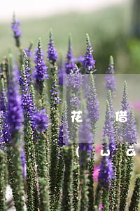 花唄借唄網(wǎng)商貸逾期新通知(網(wǎng)商貸逾期3天還款導(dǎo)致借唄無法使用)