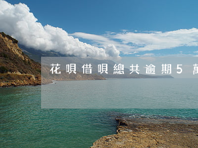 花唄借唄總共逾期5萬多(借唄逾期7萬多)