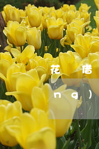 花唄借唄總欠一萬(wàn)八已經(jīng)逾期了-