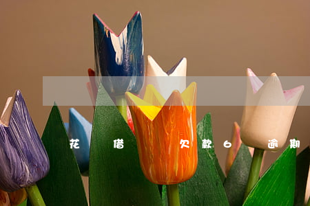 花唄借唄總欠款6萬逾期(借唄欠款5萬逾期)
