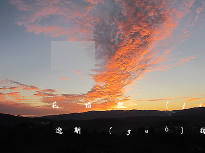 花唄借唄被凍結(jié)也沒(méi)逾期過(guò)(我花唄沒(méi)有逾期,被凍結(jié)了是什么情況)