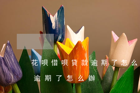 花唄借唄貸款逾期了怎么辦-花唄借唄貸款逾期了怎么辦