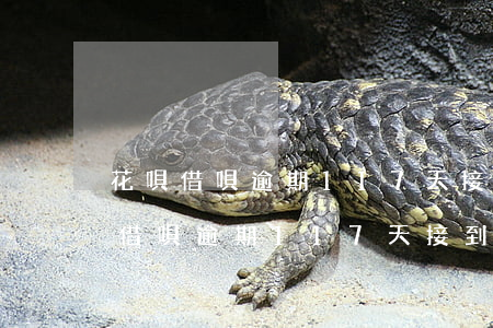 花唄借唄逾期117天接到本地電話-花唄借唄逾期117天接到本地電話是真的嗎