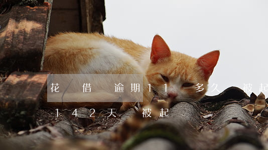 花唄借唄逾期11萬多久會被起訴(借唄逾期142天會被起訴嗎)