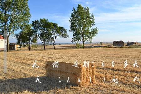 花唄借唄逾期160多天(花唄借唄逾期多少天會(huì)起訴,我已經(jīng)還了2000多)