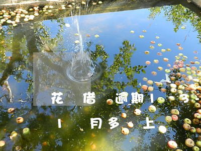 花唄借唄逾期1萬3-花唄借唄逾期1萬多1個月多會上門嗎