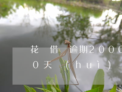 花唄借唄逾期20000(花唄借唄逾期200天會(huì)上征信黑名單嗎?)