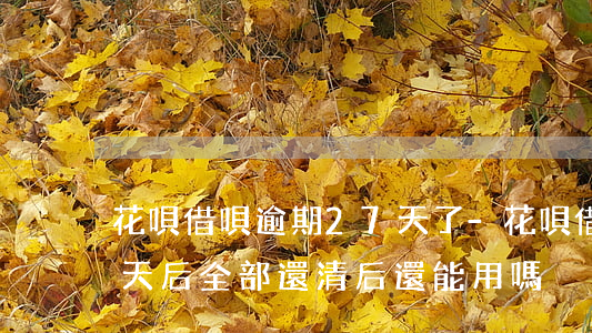 花唄借唄逾期27天了-花唄借唄逾期70天后全部還清后還能用嗎?