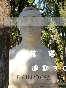 花唄借唄逾期300多天(螞蟻借唄7000逾期300天)