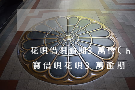 花唄借唄逾期3萬會(huì)起訴嗎(支付寶借唄花唄3萬逾期)