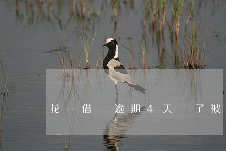 花唄借唄逾期4天還了被凍結(jié)了-