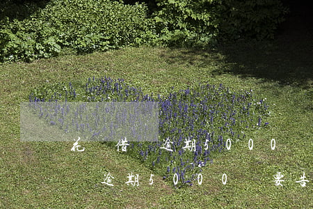 花唄借唄逾期5000還要告法院-花唄借唄逾期5000還要告法院怎么辦