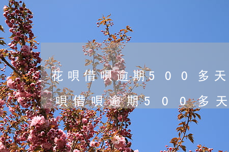 花唄借唄逾期500多天不給辦理分期-花唄借唄逾期500多天不給辦理分期怎么辦
