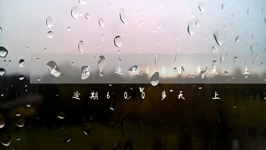 花唄借唄逾期600多天會上門嗎-花唄借唄逾期600多天會上門嗎怎么辦
