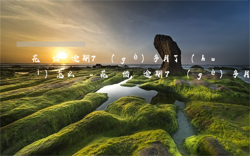 花唄借唄逾期7個(gè)多月了會(huì)怎么樣-花唄借唄逾期7個(gè)多月了會(huì)怎么樣呢