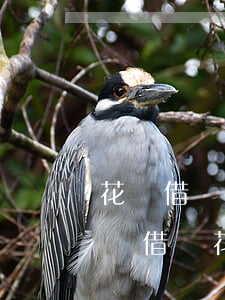 花唄借唄逾期7萬是必須還清全部嗎?-支付寶借唄花唄逾期了七萬多會起訴嗎