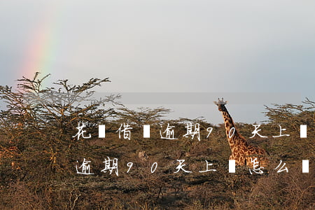 花唄借唄逾期90天上萬怎么辦-花唄借唄逾期90天上萬怎么辦呢