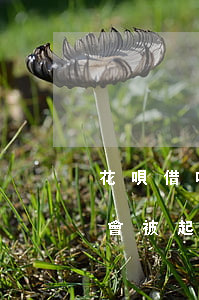 花唄借唄逾期92天會起訴嘛(借唄逾期多久會被起訴?花唄逾期被起訴怎么辦)