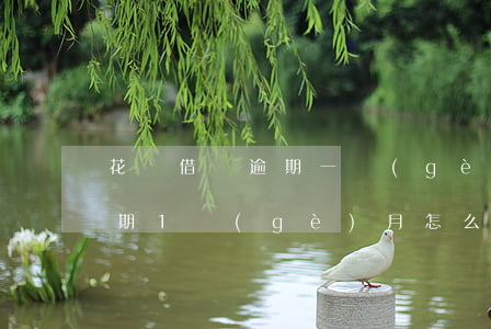 花唄借唄逾期一個(gè)月怎么辦(借唄逾期1個(gè)月怎么樣)