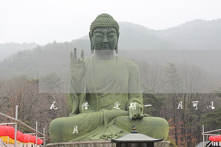 花唄借唄逾期一個月可以嗎(借唄逾期不到一個月)