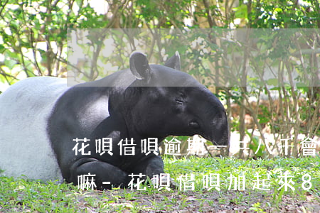 花唄借唄逾期一共八千會(huì)被起訴嘛-花唄借唄加起來8萬逾期半年了,他們真的會(huì)上門嗎?