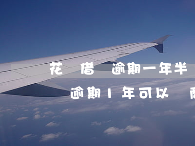 花唄借唄逾期一年半會上門調查嗎-花唄借唄逾期1年可以協商還本金嗎