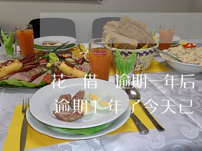 花唄借唄逾期一年后還可以用嗎-花唄借唄逾期1年了今天已經(jīng)全額還清了還會起訴嗎