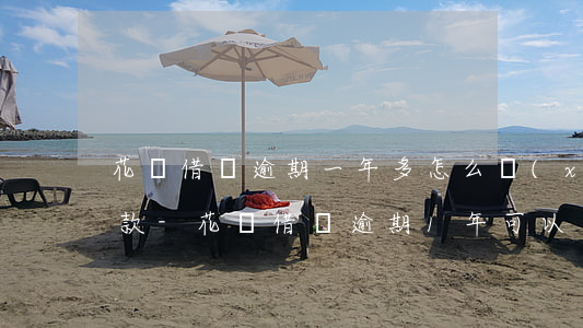 花唄借唄逾期一年多怎么協(xié)商還款-花唄借唄逾期1年可以協(xié)商還本金嗎