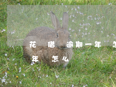 花唄借唄逾期一年會怎么辦(借唄花唄逾期半年會怎么樣)
