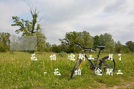 花唄借唄逾期三個月了還能協(xié)商嗎-花唄借唄逾期三個月了還能協(xié)商嗎怎么辦