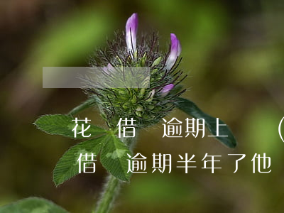 花唄借唄逾期上門會(huì)怎么樣(花唄借唄逾期半年了,他們真的會(huì)上門嗎?)