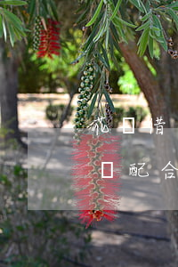 花唄借唄逾期上門調(diào)查要起訴,該配合嗎-花唄借唄逾期上門調(diào)查要起訴,該配合嗎