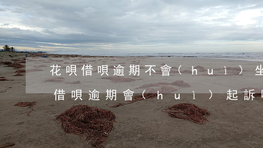 花唄借唄逾期不會(huì)坐牢嗎(支付寶借唄逾期會(huì)起訴嗎?會(huì)不會(huì)坐牢)