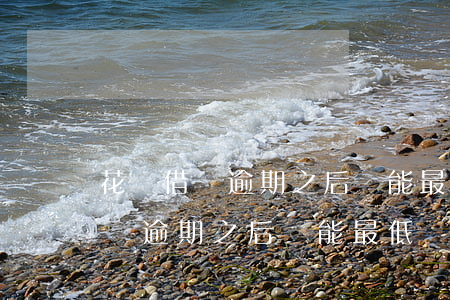 花唄借唄逾期之后還能最低還款嗎-花唄借唄逾期之后還能最低還款嗎怎么辦