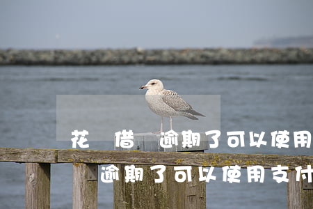 花唄借唄逾期了可以使用支付寶嗎-花唄借唄逾期了可以使用支付寶嗎安全嗎