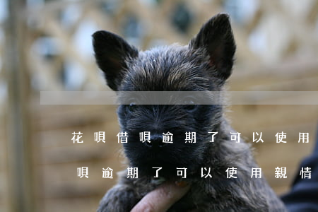 花唄借唄逾期了可以使用親情卡嗎-花唄借唄逾期了可以使用親情卡嗎安全嗎