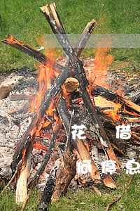 花唄借唄逾期了可以停息掛賬嗎(花唄借唄如何停息掛賬)