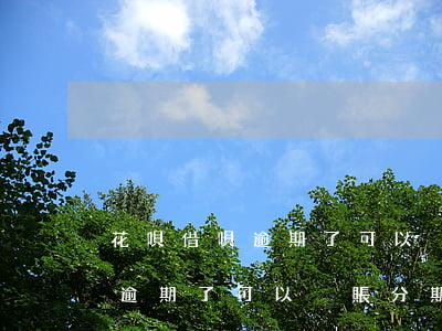 花唄借唄逾期了可以掛賬分期嗎-花唄借唄逾期了可以掛賬分期嗎