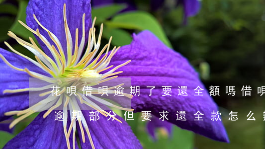 花唄借唄逾期了要還全額嗎(借唄逾期后還了逾期部分但要求還全款怎么辦)