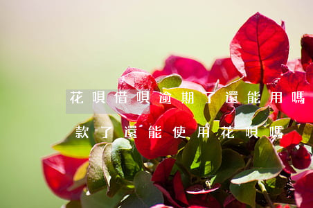 花唄借唄逾期了還能用嗎(花唄逾期很久后還款了還能使用花唄嗎?)