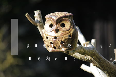 花唄借唄逾期五個(gè)月但已還清-借唄逾期5個(gè)月全款還了可以買房嗎