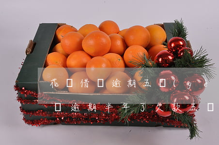 花唄借唄逾期五個(gè)月欠四萬(借唄花唄逾期半年了,欠款五萬多會(huì)起訴我嗎)